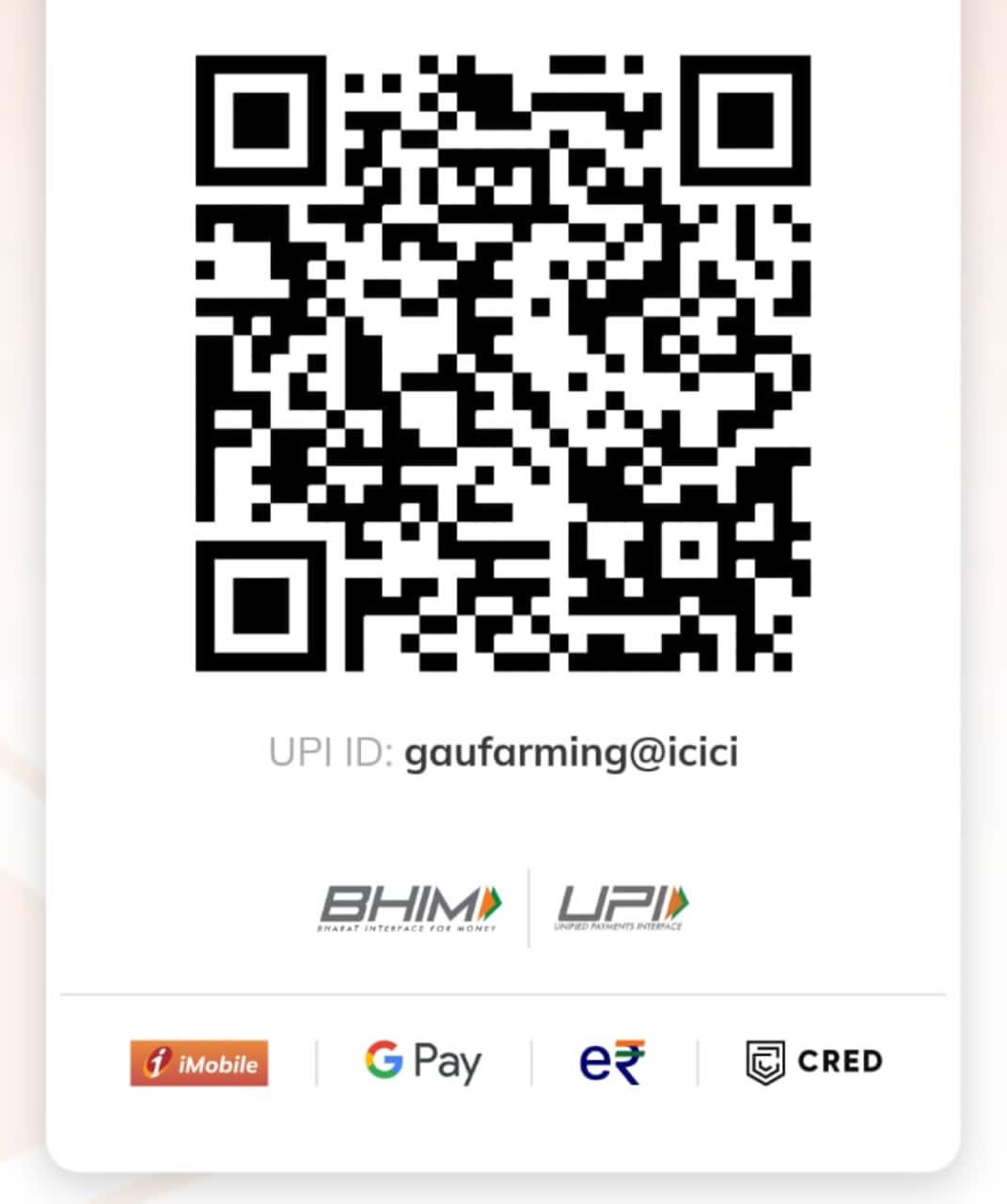 India transfer QR code